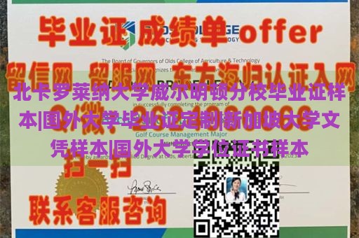 北卡罗莱纳大学威尔明顿分校毕业证样本|国外大学毕业证定制|新加坡大学文凭样本|国外大学学位证书样本